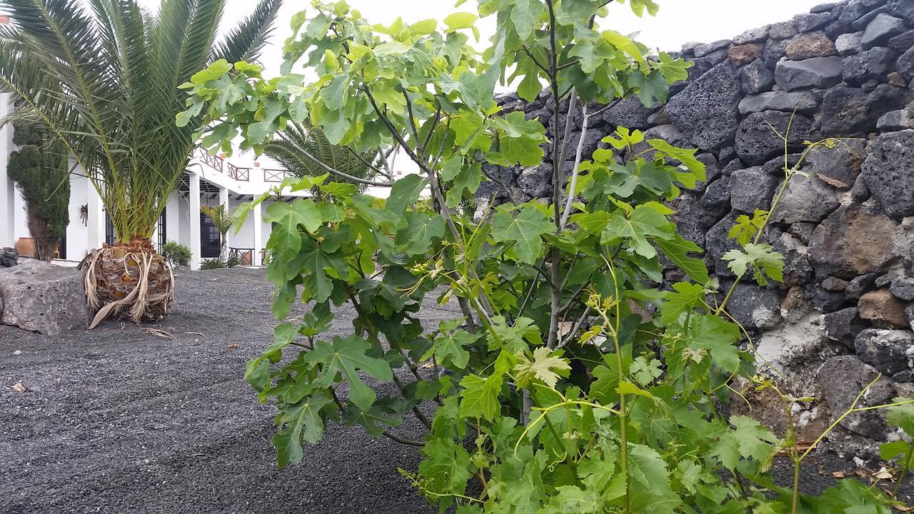 Finca Fajardo La Vegueta מראה חיצוני תמונה